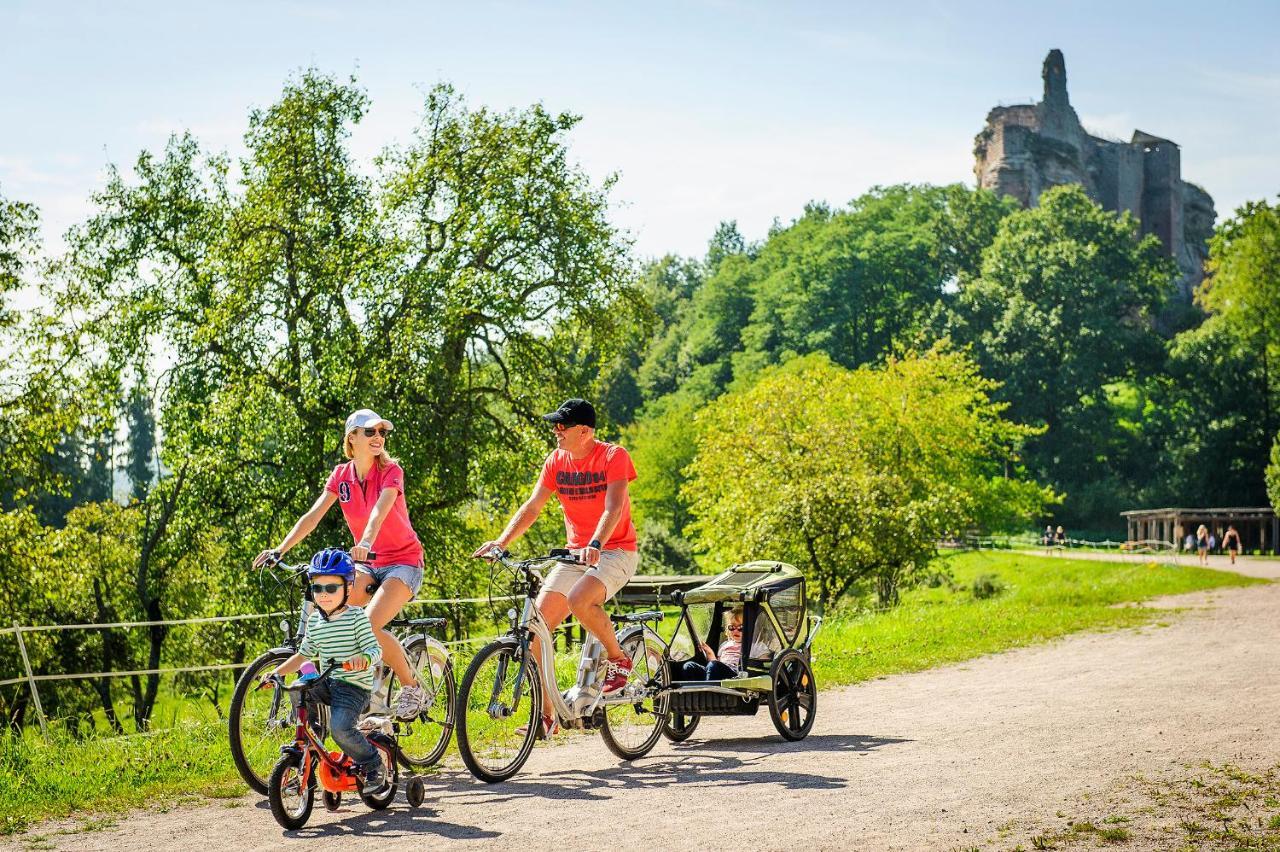 Ibis Budget Haguenau Strasbourg Nord Exteriér fotografie